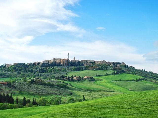 PIENZA7.jpg