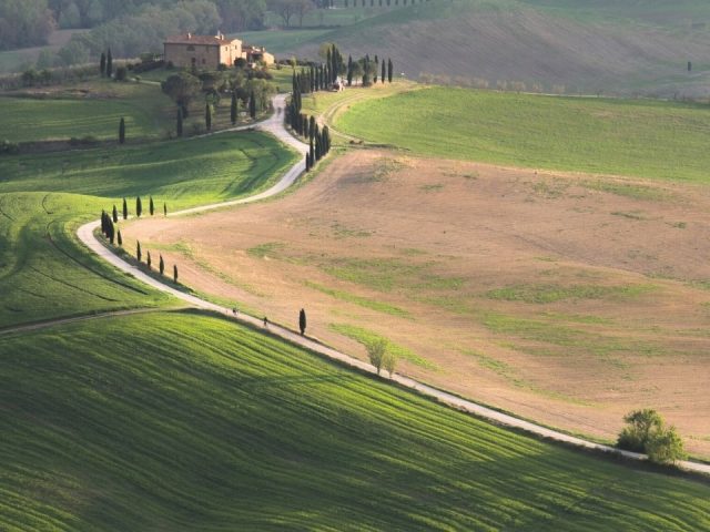 orcia 1